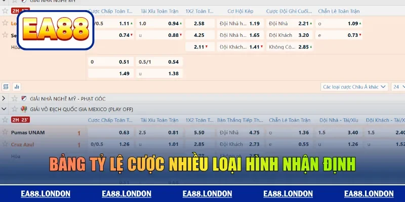 Bảng tỷ lệ cược nhiều loại hình nhận định