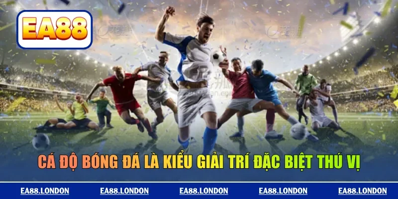 Cá độ bóng đá là kiểu giải trí đặc biệt thú vị