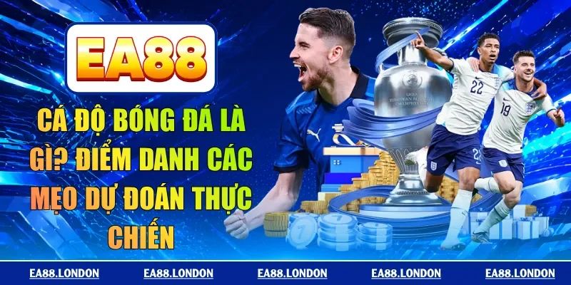 cá độ bóng đá