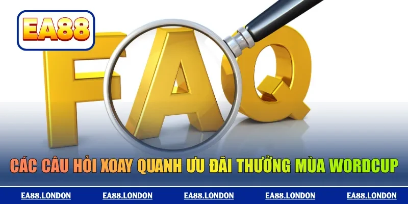 Các câu hỏi xoay quanh ưu đãi thưởng mùa World Cup