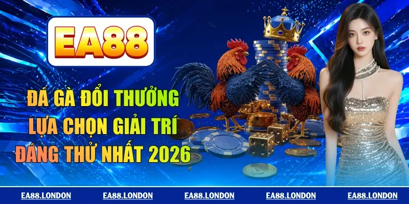 đá gà đổi thưởng