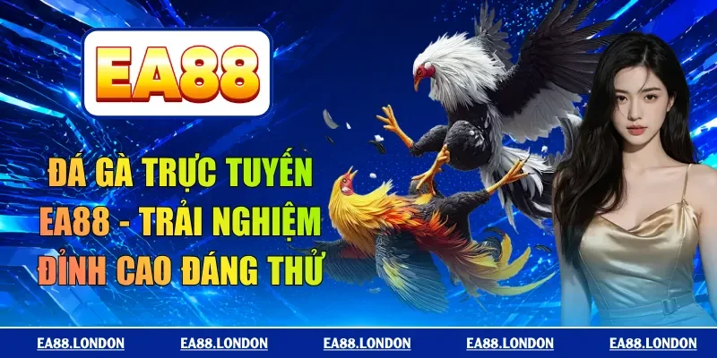 đá gà trực tuyến