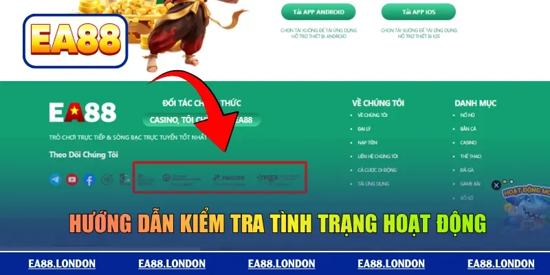 Hướng dẫn kiểm tra tình trạng hoạt động