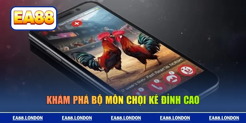 Khám phá bộ môn chọi kê đỉnh cao