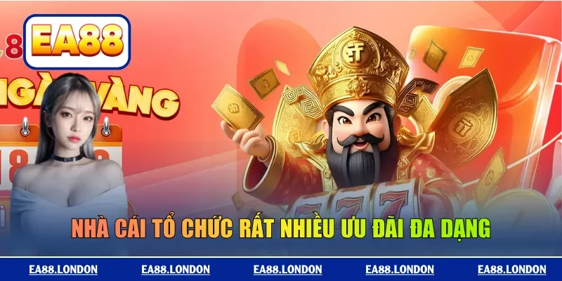 Nhà cái tổ chức rất nhiều ưu đãi đa dạng