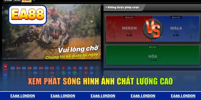 Xem phát sóng hình ảnh chất lượng cao
